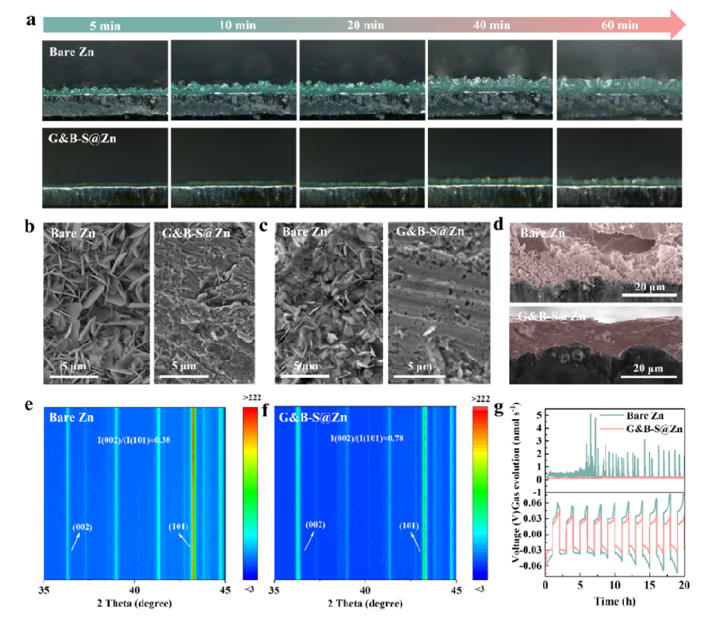 QCM-D应用案例：高活性可逆水系锌离子电池动力学-力学耦合界面工程