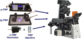 正版香港猛虎六大宝典