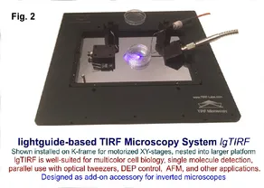 正版香港猛虎六大宝典