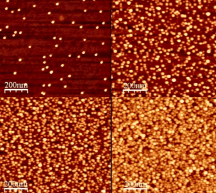 正版香港猛虎六大宝典